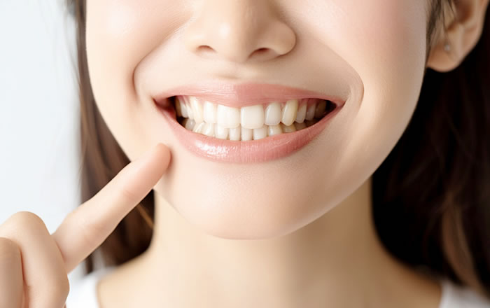 人間の歯も、私たちが食物を食べるために一番適した形に進化してきました。